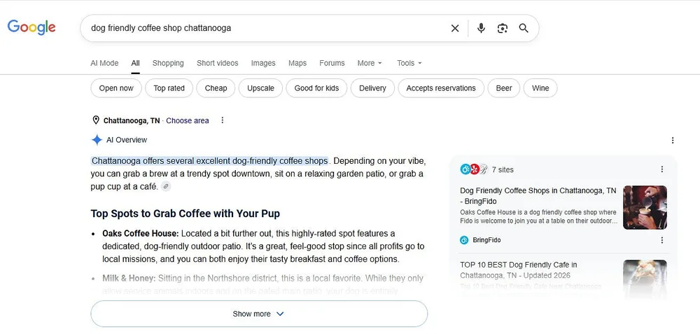 Google search results for dog friendly coffee shop chattanooga, showing AI Overview and top spots to grab coffee with your pup.